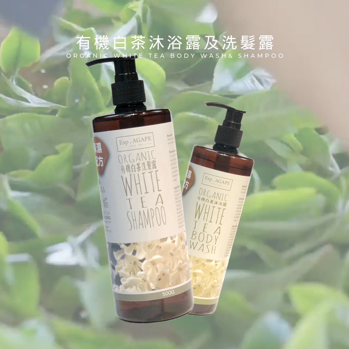 Organic White Tea Body Wash & Shampoo 有機白茶沐浴露及洗髮露